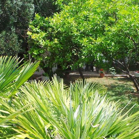 Pension Vice Gradac  Exteriér fotografie