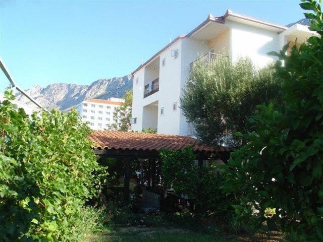 Pension Vice Gradac  Exteriér fotografie