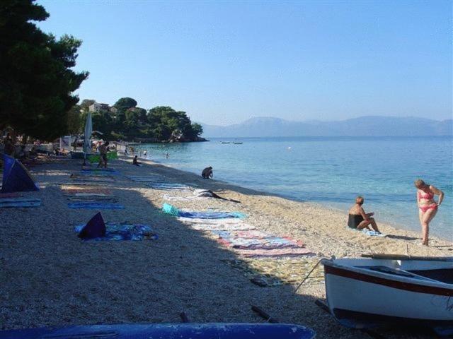 Pension Vice Gradac  Exteriér fotografie