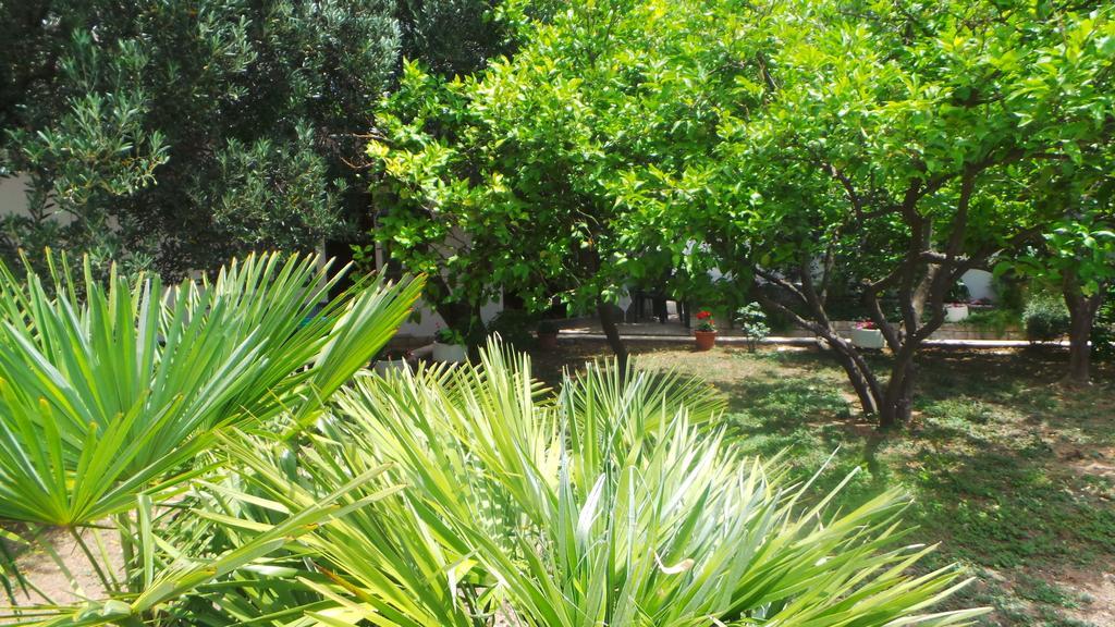 Pension Vice Gradac  Exteriér fotografie