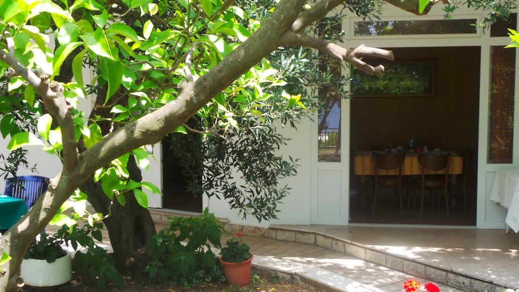 Pension Vice Gradac  Exteriér fotografie