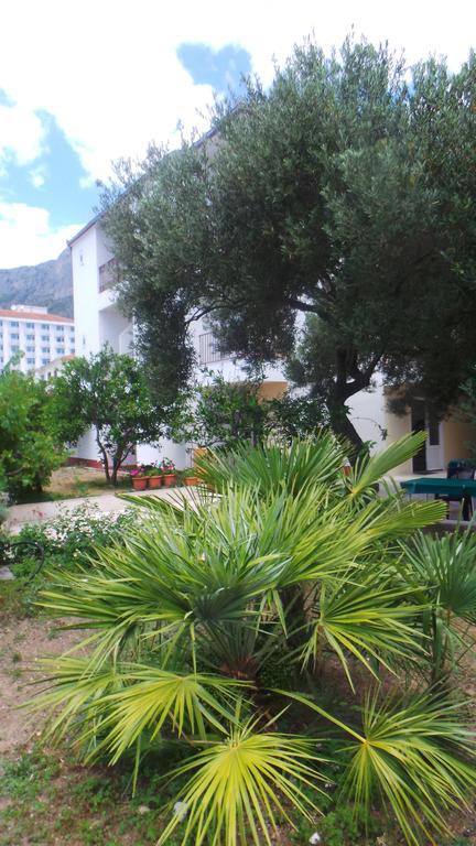 Pension Vice Gradac  Exteriér fotografie